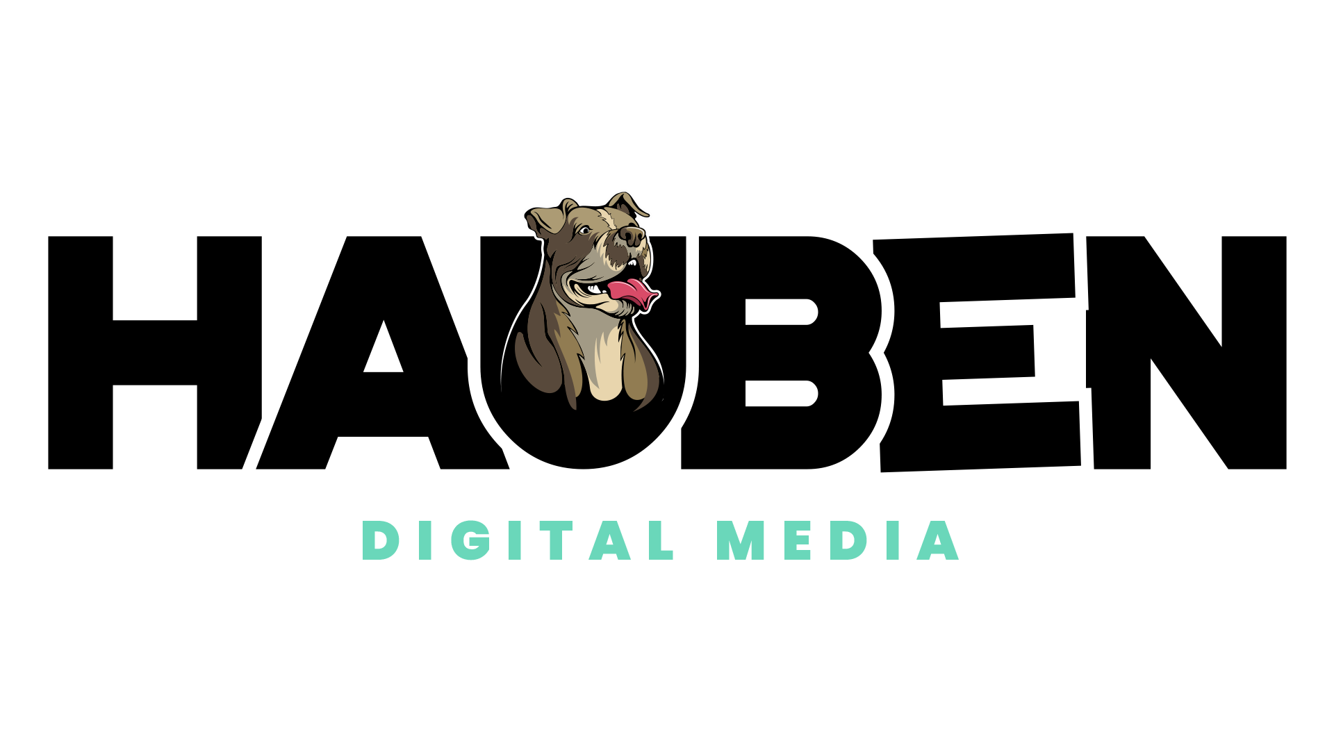 Hauben Media | Websites & Digital Marketing